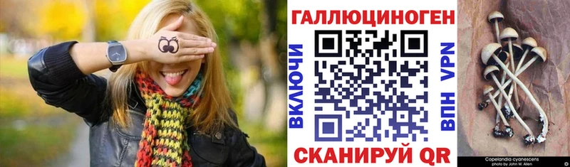 Псилоцибиновые грибы мицелий  Волгодонск 