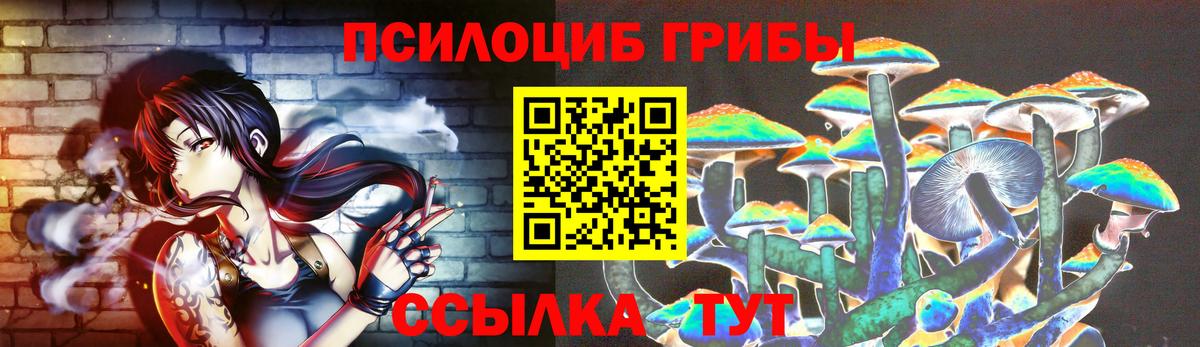 Псилоцибиновые грибы мицелий Волгодонск