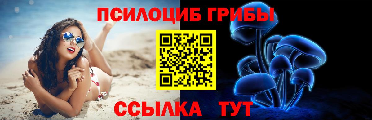 Волгодонск  Псилоцибиновые грибы Psilocybe  Галлюциногенные грибы GOLDEN TEACHER  где можно купить   Вход с VPN 