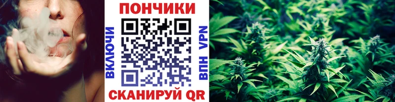 цена наркотик Волгодонск блэк спрут ONION Бошки марихуана индика